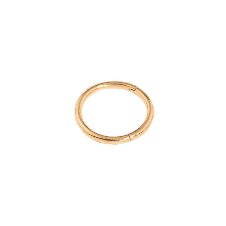 Classic Cartilage Hoop Earrings | 16g - Image 11