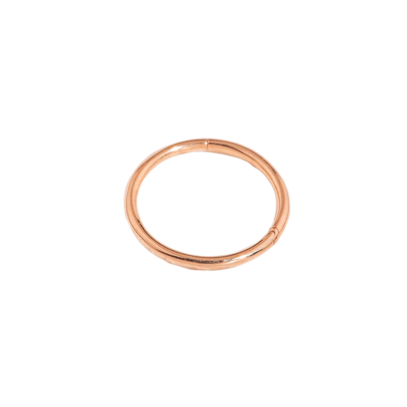 Classic Cartilage Hoop Earrings | 16g - Image 13
