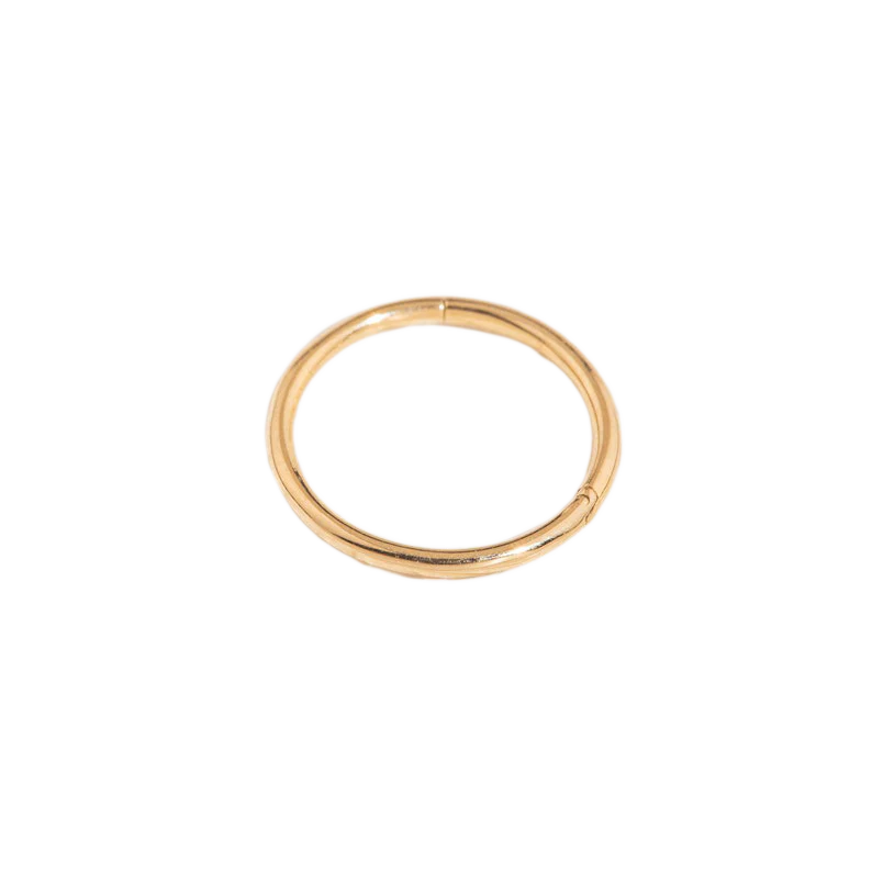Classic Cartilage Hoop Earrings | 16g - Image 14