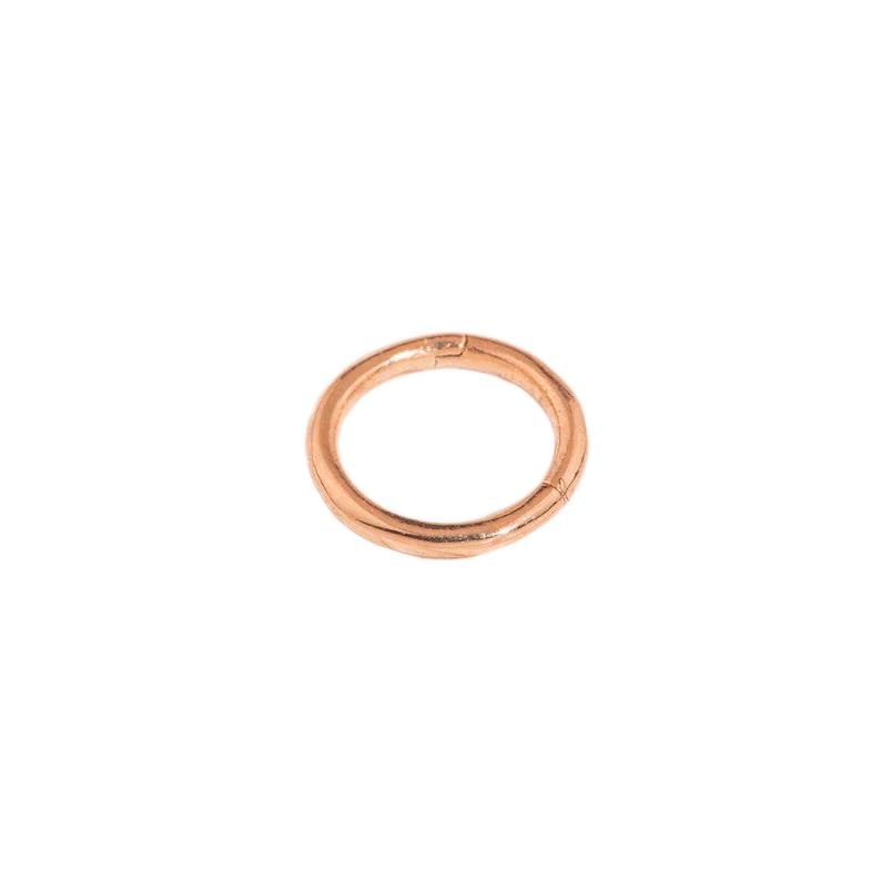 Classic Cartilage Hoop Earrings | 16g - Image 8