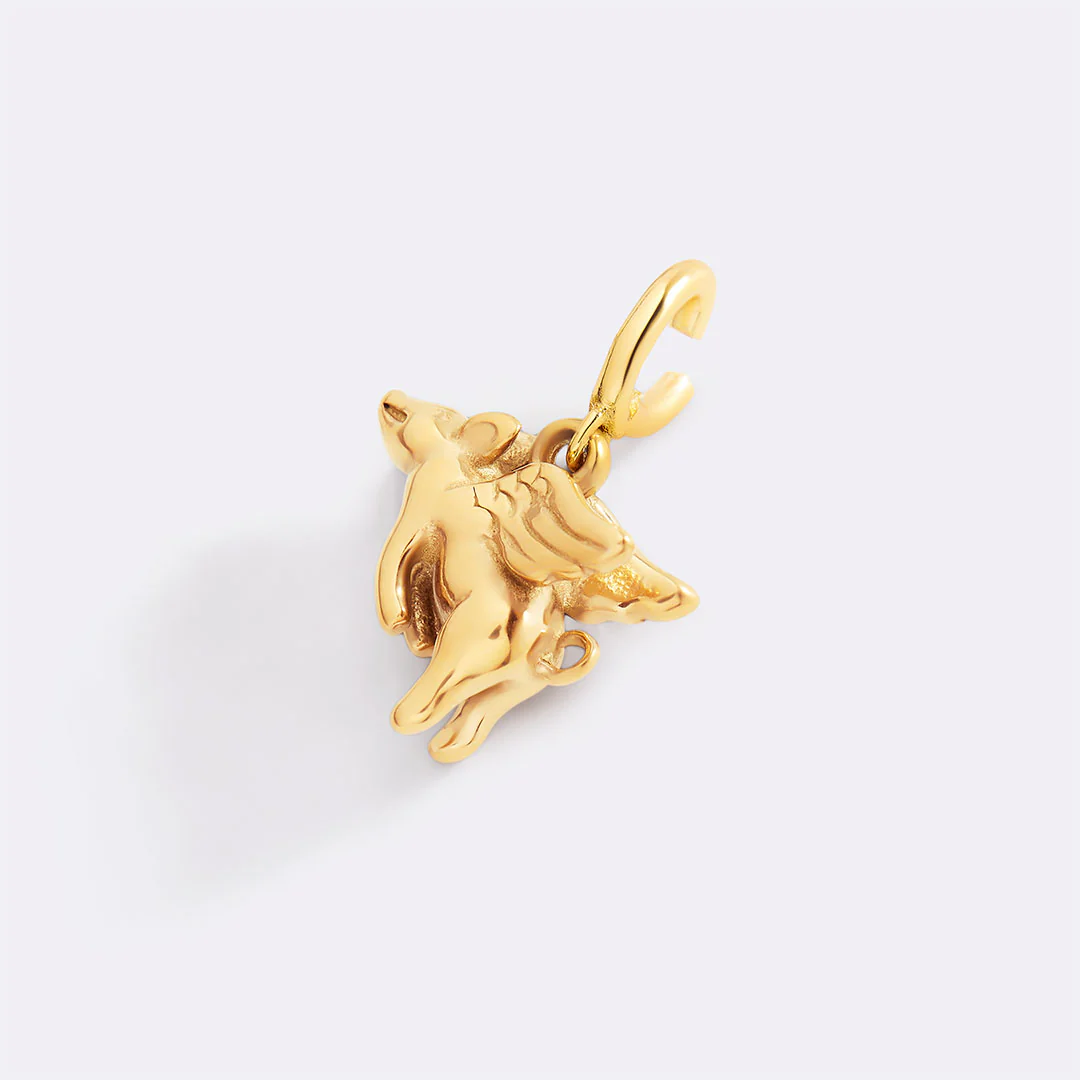 Flying Pig Charm - Image 10