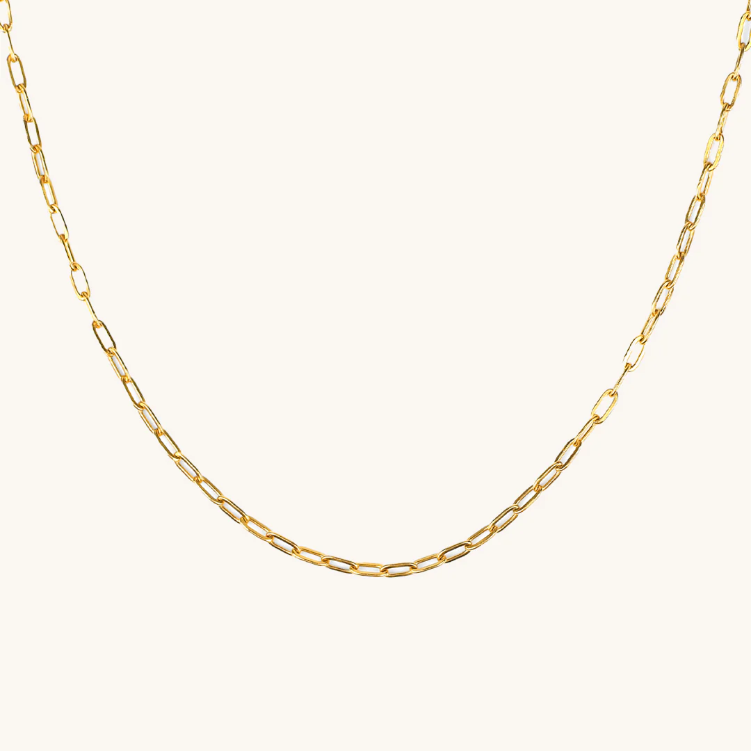 Paradiso Paperclip Chain Necklace - Image 3