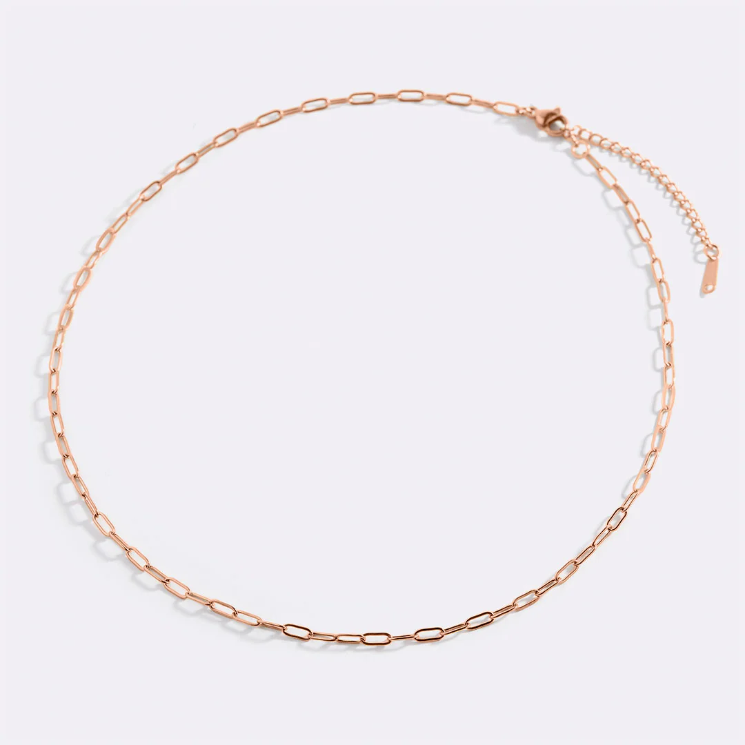 Thin Paperclip Necklace - Image 17
