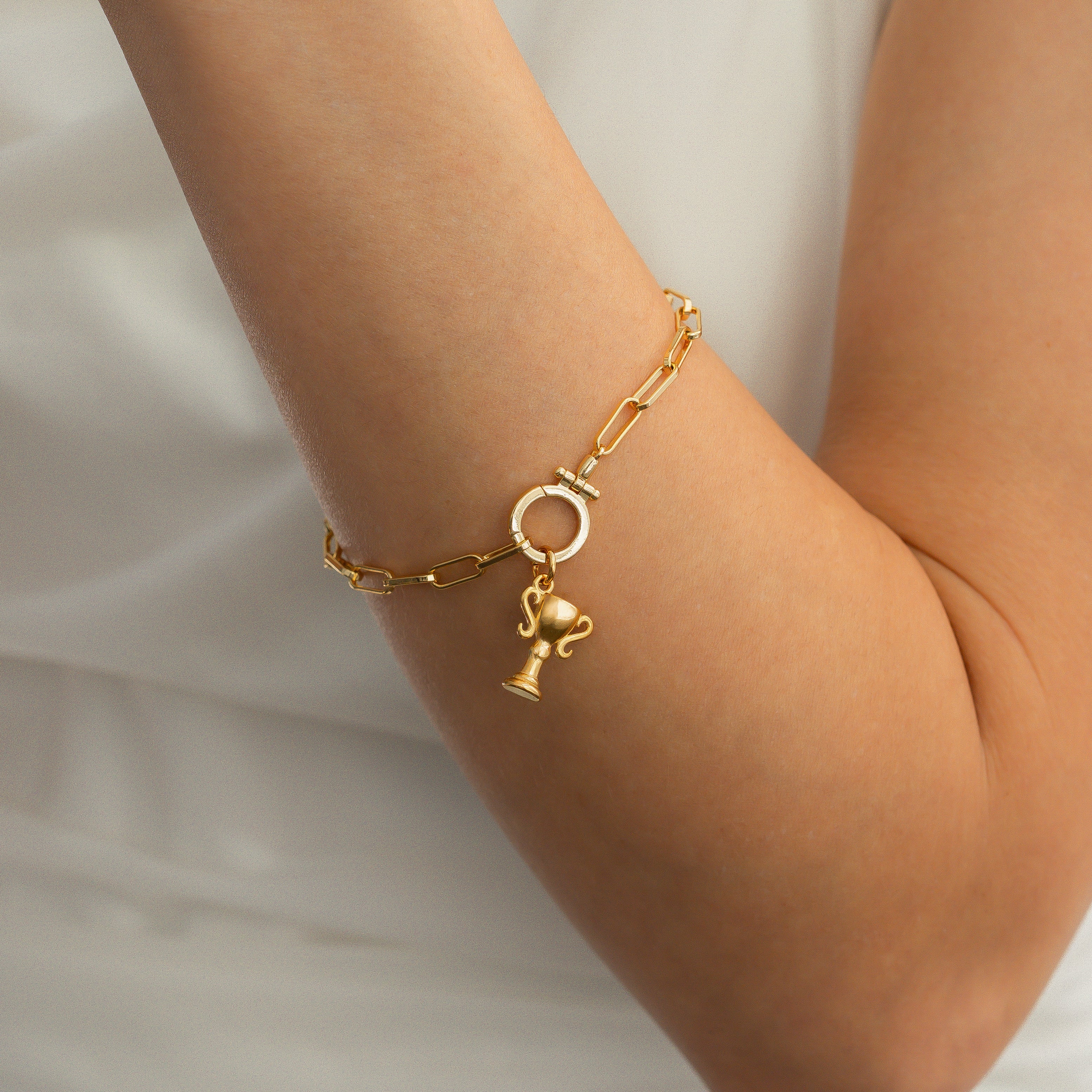 Trophy Charm - Image 6